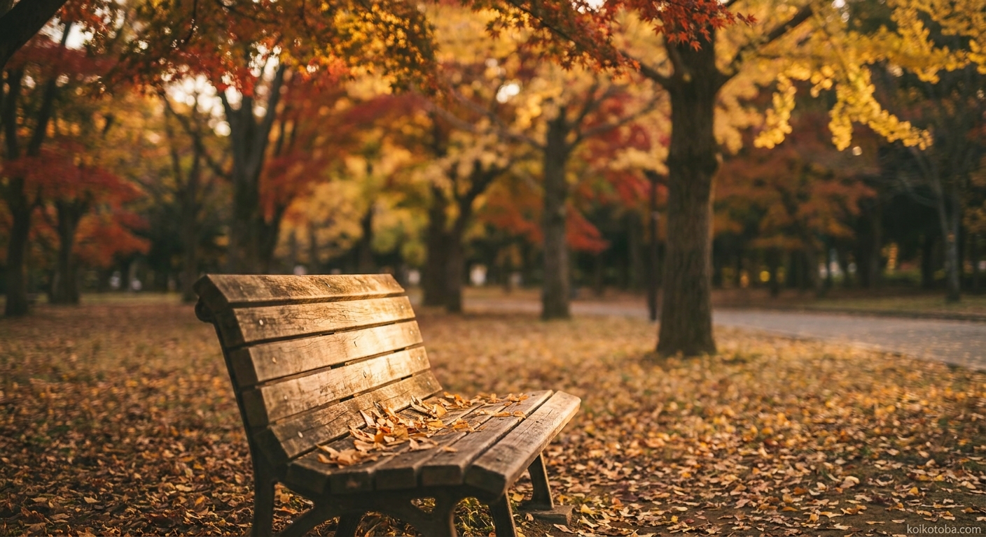 秋の公園の紅葉と夕暮れの光